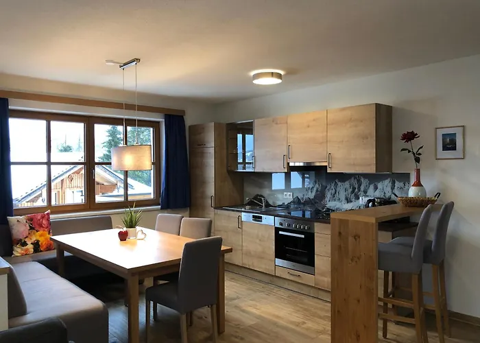 Schwab In-ski Out By Schladmingurlaub Appartement